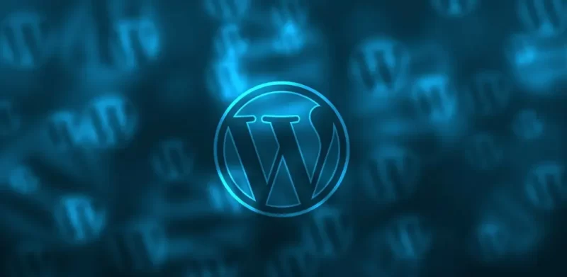 如何在当前火爆的外贸市场中，成功布局独立站？-海网商城